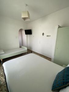 346105181 949377472774754 1114504085759266219 n